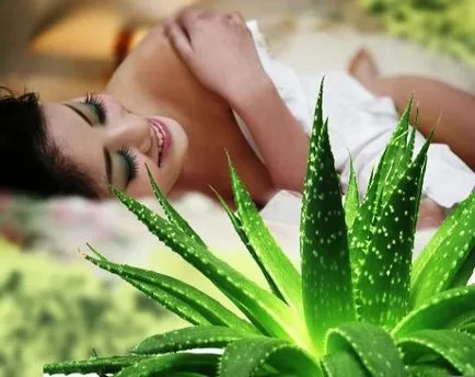 Това, което прави Aloe