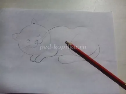 Как да се научите да се направи коте