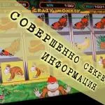 Как да победим ротативките