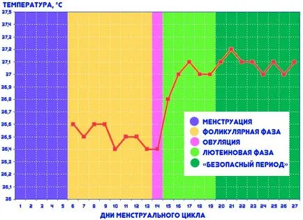 Можете да определите за бременност Можете да определите за бременност