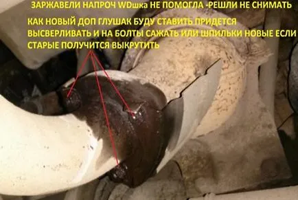 Как ядки Как ядки