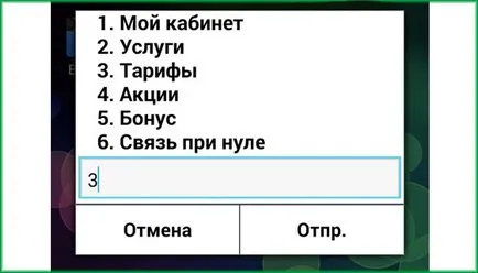 Какво е Интернет мегафона мобилната Какво е Интернет мегафона мобилната