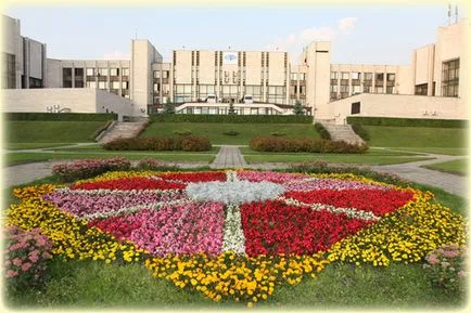 Какво да правим в MGIMO