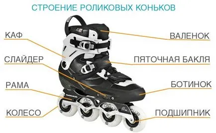 Както избрани ролки Както избрани ролки