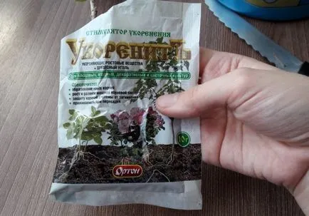 Как да се разпространяват Hibiscus Как да се разпространяват Hibiscus