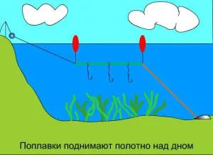 Какво е това магаре