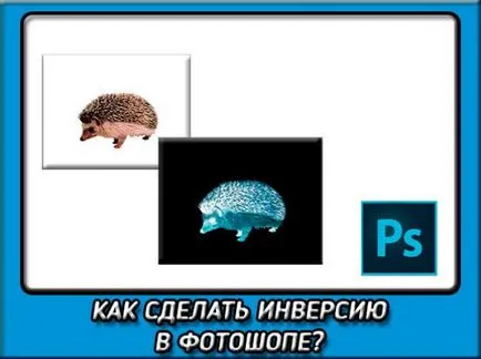 Как да си направим инверсия