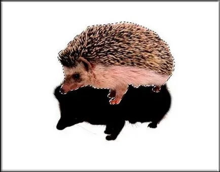 Как да си направим инверсия