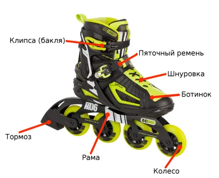 Както избрани ролки