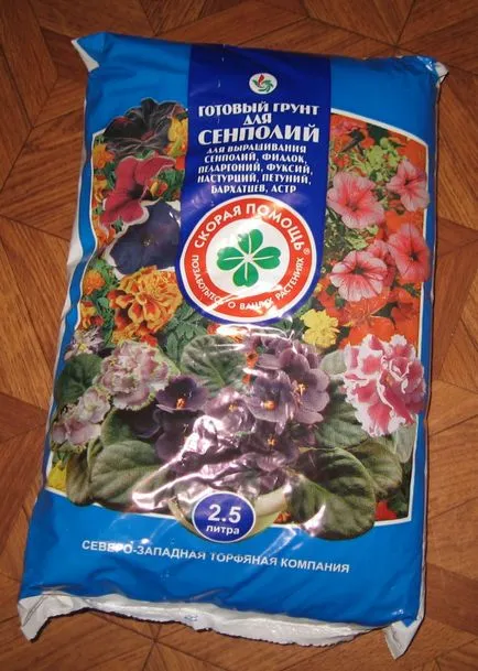 Как да се размножават Violet