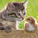 Фигура котка и котенца