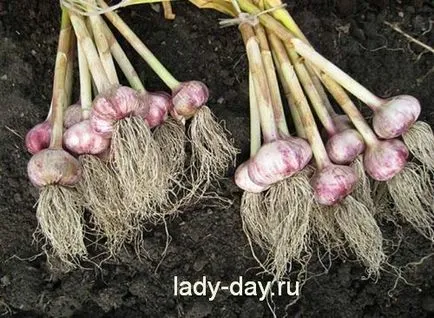 Каква ще бъде тази година, когато