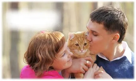 Какво да правим с котка