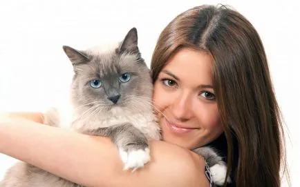Какво да правим с котка