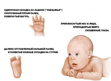 Опашната кост размер париетален от него