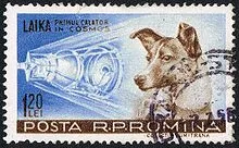 Laika пространството куче