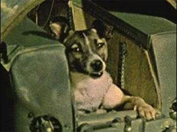 Laika пространството куче