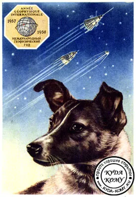 Laika пространството куче