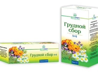 Традиционните методи за лечение на бронхит Традиционните методи за лечение на бронхит