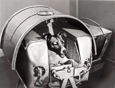 Laika пространството куче