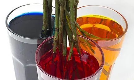 Как да си ръце