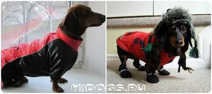 Как да шият такса