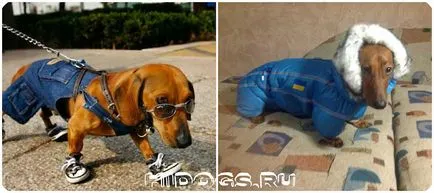 Как да шият такса