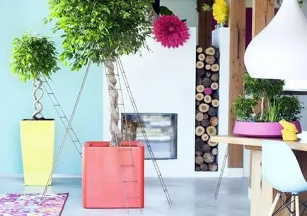 Ficus реколтата си