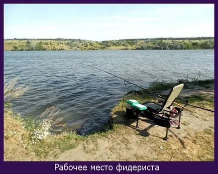 Какво е това магаре