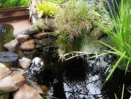 Филми за изкуствено езеро