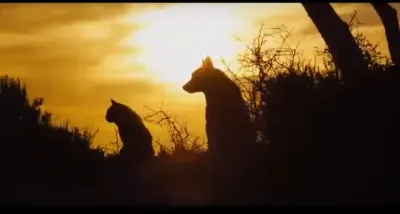 Movie интересно как