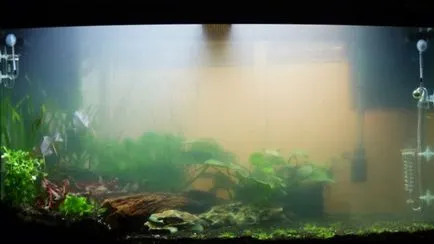 На какво облачно вода в аквариума