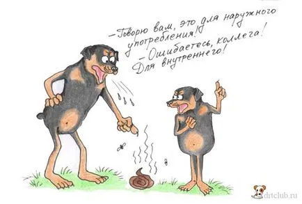 Куче изяде лайно