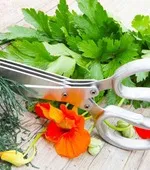 Ястия от старост, която да подготви салата от маруля, маруля, здравословна храна,