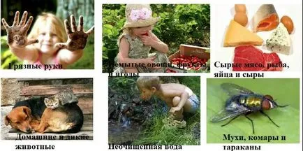 Симптомите, които имат червеи Симптомите, които имат червеи