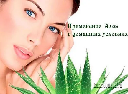 Това, което прави Aloe