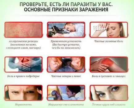 Симптомите, които имат червеи Симптомите, които имат червеи