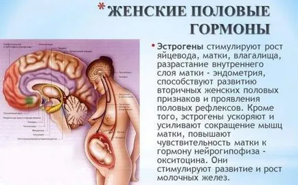 хормонални продукти