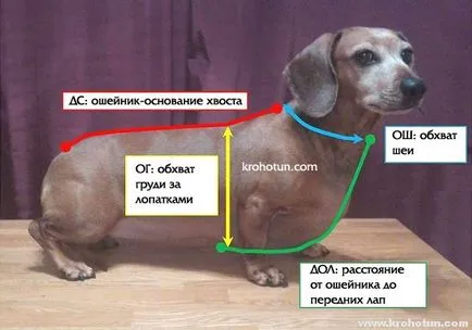 Как да шият такса