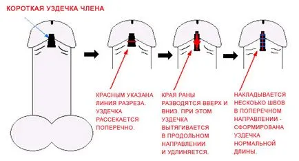 Какво правим с юзда