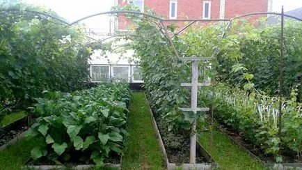 пергола устройства
