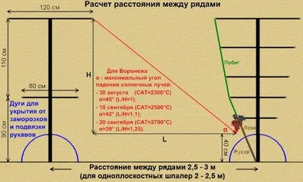 пергола устройства
