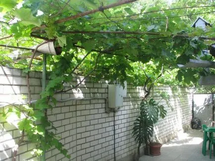 пергола устройства