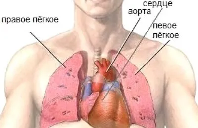 Как да се намери сърцето на
