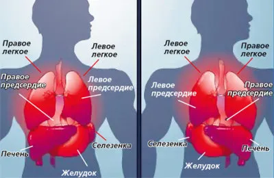 Как да се намери сърцето на