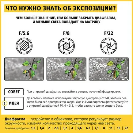 Вижте какво да фотограф