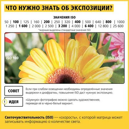 Вижте какво да фотограф