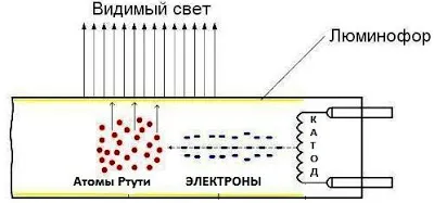 Как да се свържете с крушка Как да се свържете с крушка