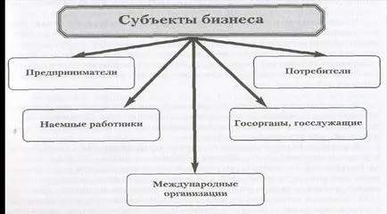 Бизнес като субект
