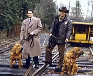 За което Twin Peaks